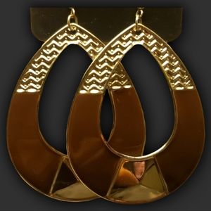 Paparazzi Fish Hook Earrings "Bold Brown Earth"!
